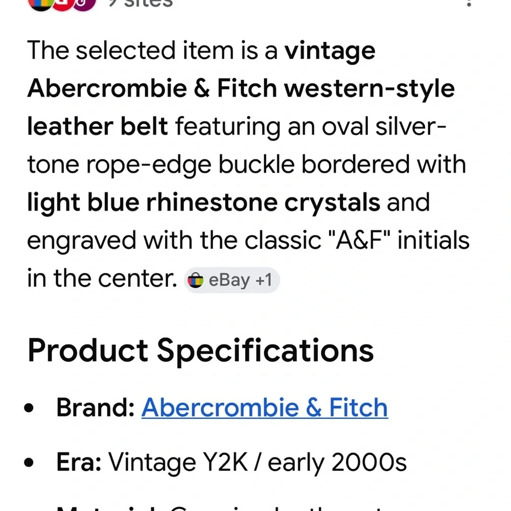 Abercrombie & Fitch Y2K Oval Silver Rhinestone Western Brown Leather Belt